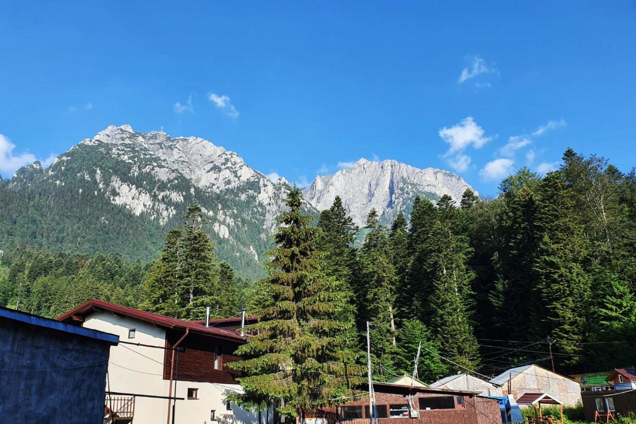 Apartament Eric, Szászbuda Kültér fotó