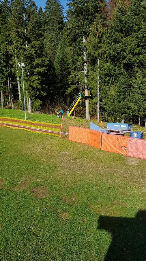 Apartament Eric, Szászbuda Kültér fotó